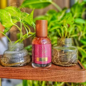 Aura Body, Room & Pillow Mist: Snuggly Evenings